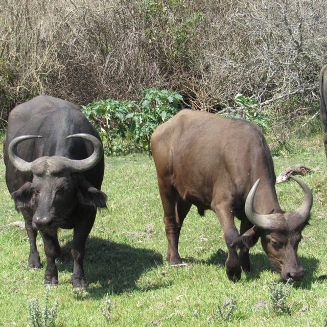 74CC41DD-1C0F-405E-9492-CF37716CC02D