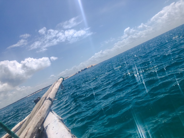 82753E4D-79E4-475B-97DB-F1271F5B62C0