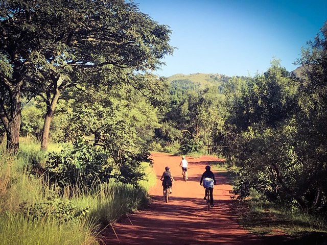 8C499A7F-ECEA-48BD-A1F8-F9701213A9AB