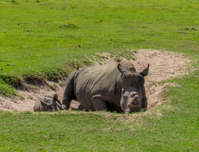 8C9BB2FF-4BF1-4F07-A021-36D9B9E05748