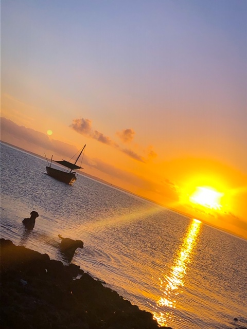 982CF8E7-99F0-4CBB-B1A8-7E5041CD735E