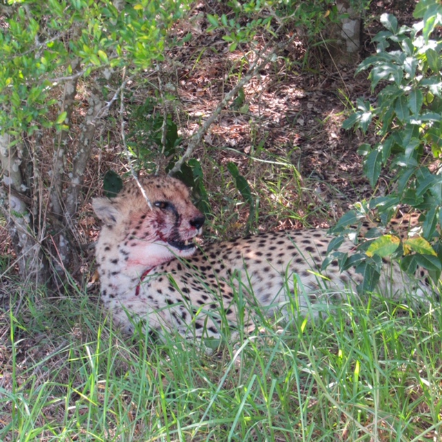 A7B884FC-A3E4-445A-BFD7-9E22D0719FC7