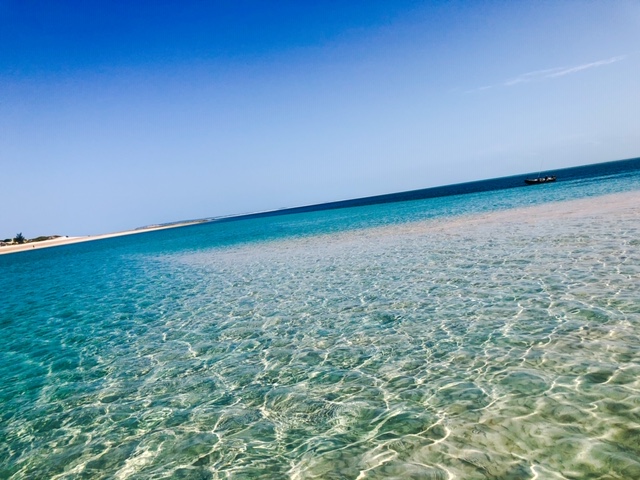 B800805D-B98A-4FFC-96B9-8FB22FC2E728