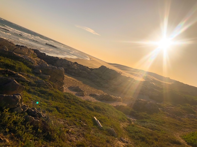 D3B5233D-DAE7-43D6-A186-A3C87AF90E0C