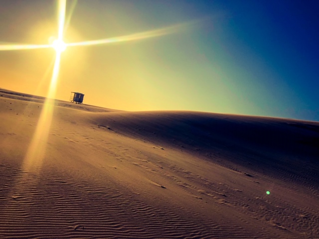 E35A3CC8-E1DF-4003-A5A1-AE4D2FD1FD6E