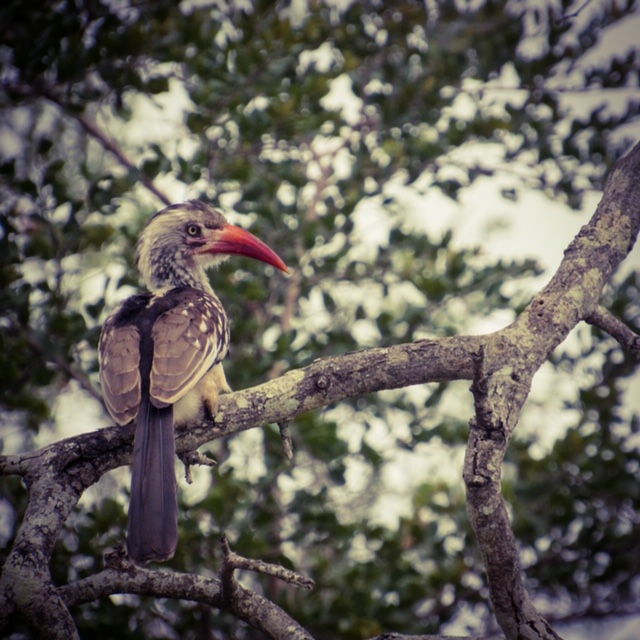 10CD8018-6CA0-439B-B30F-86F10E5E11A1