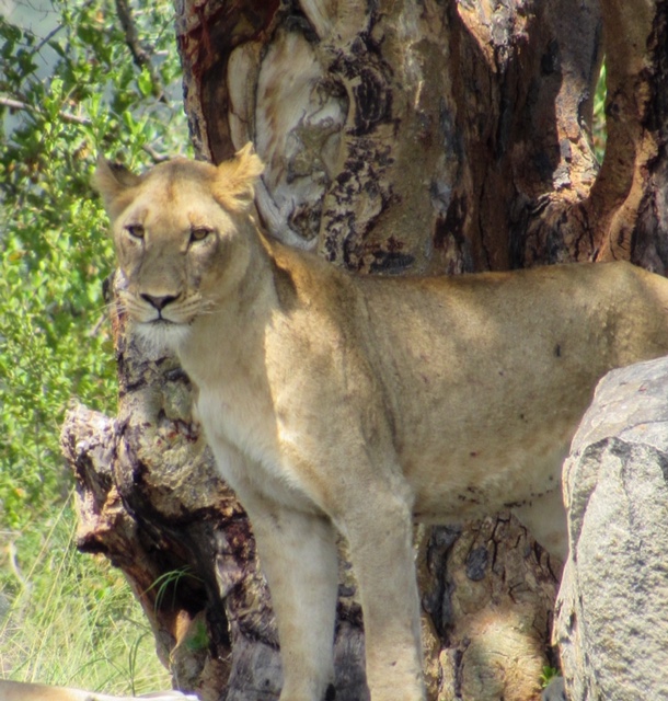 15947E96-FEE2-49CD-B31F-25241096E927