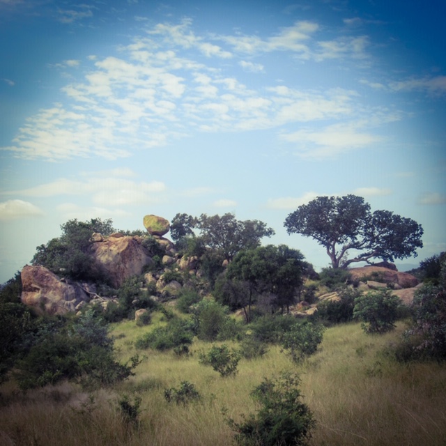 42B73F27-E0BF-4098-8EE9-E57562603235