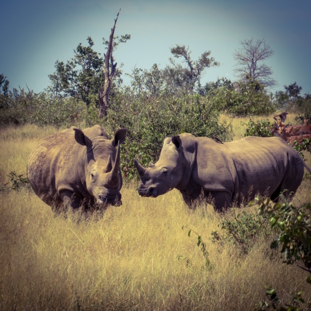 669C42F4-C726-4330-BE6C-4798DCBC542F