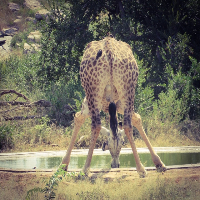 66A6D5A3-388C-4FFC-B1CF-8047363AF7F9