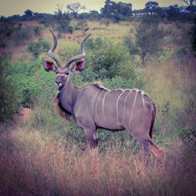 73F146F7-96B7-47CA-A29C-4AFBEDA65D6F