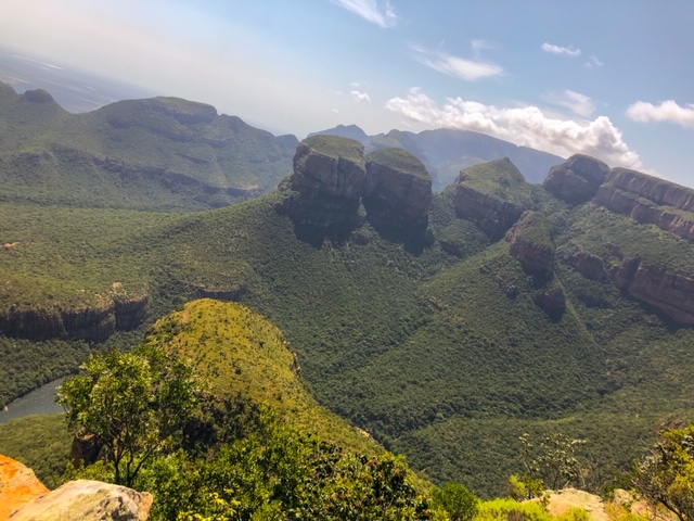 8D2CC0D0-501C-41FD-8AC7-F9E99C1583E3