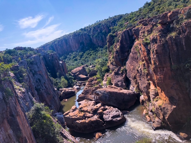 9C0AE19D-4D3A-49D5-8A83-B8F5A9E0F38C