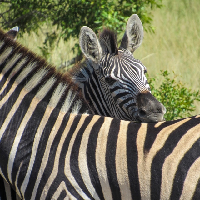 A7EAA8DF-0970-4F1E-B3B5-4AE07359E1D0