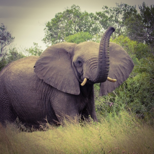 ACF1B8F6-00A8-40E7-B0F2-87C5D9467248