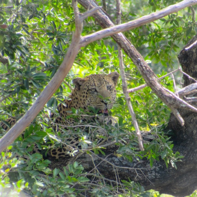 C868D9AB-4F26-4D91-B189-7D291CD14FAD