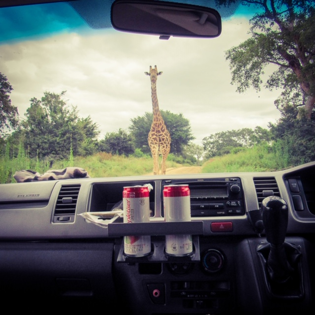 CE527E14-41DD-4235-A490-4B0A2E41F4D8