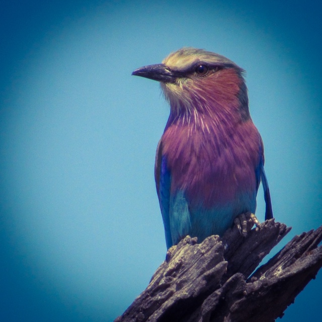 D808BEDE-9628-4B4C-9F28-7CC708E5D3AB