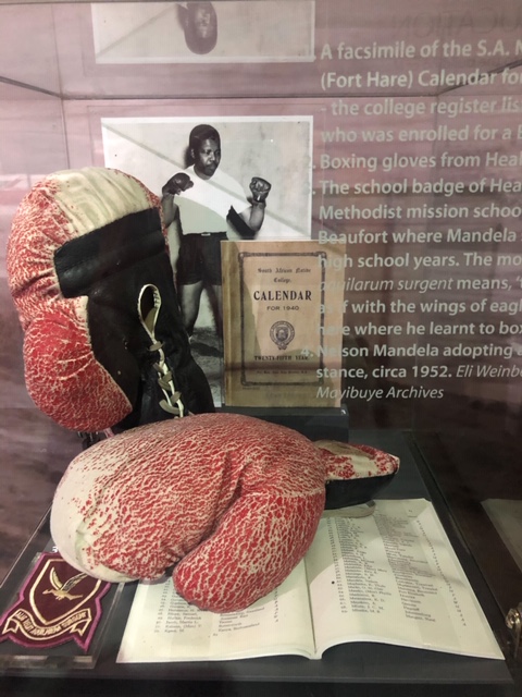 EFD60A8F-130D-4F31-B0AA-93BEE893E227