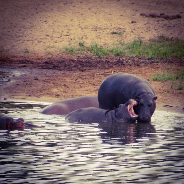 F0E5E34C-7D50-4FEE-A7E9-25C22F30D1B4