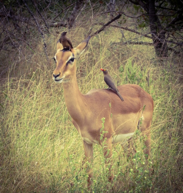 F2DFF3C4-F811-47E6-87EC-A905844A0A10