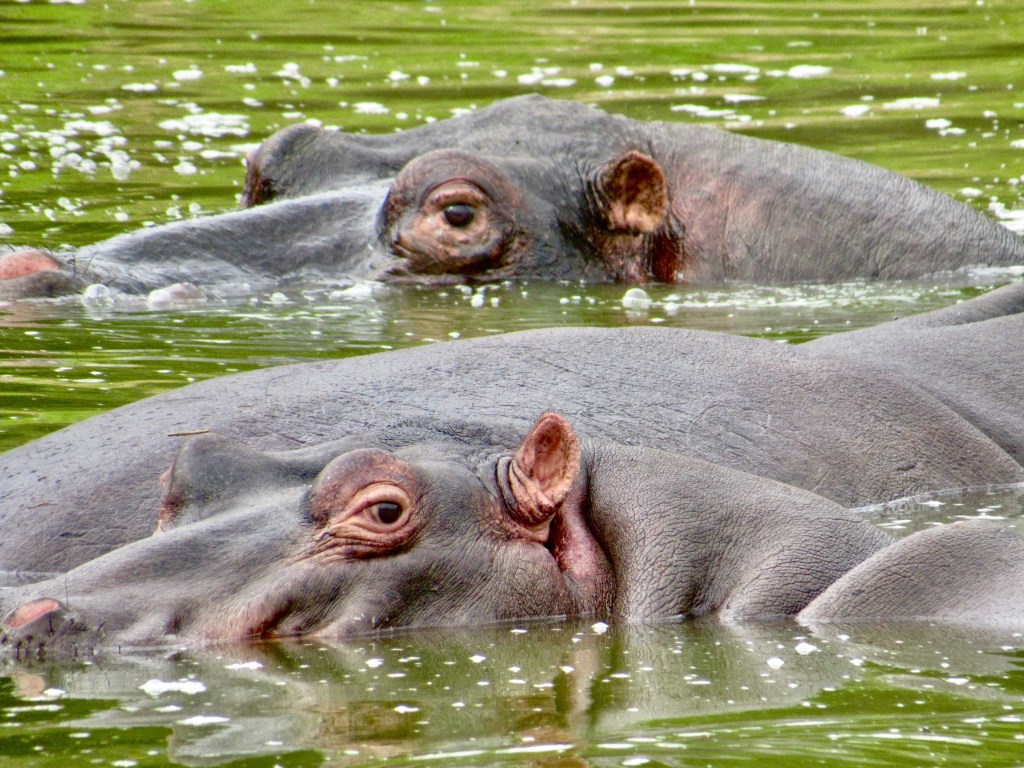 Goodbye Jo-burg, Hello Cape&nbsp;Town!