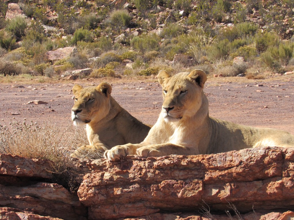 Making Memories to Last a&nbsp;Lifetime