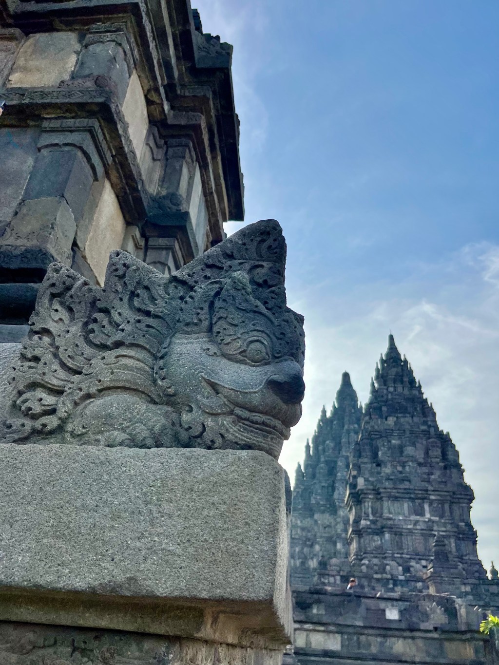 Planes, Trains and Automobiles/Rickshaws