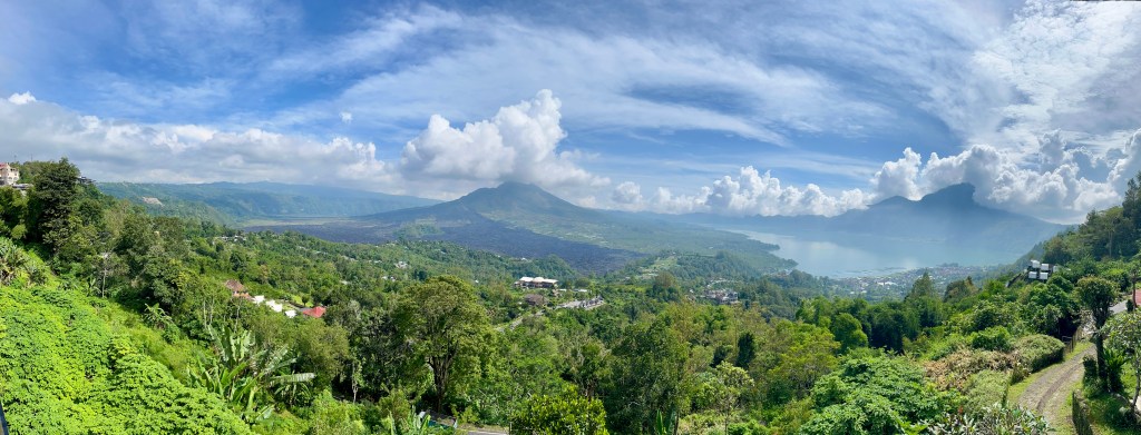 Young, Dumb &&nbsp;Naive