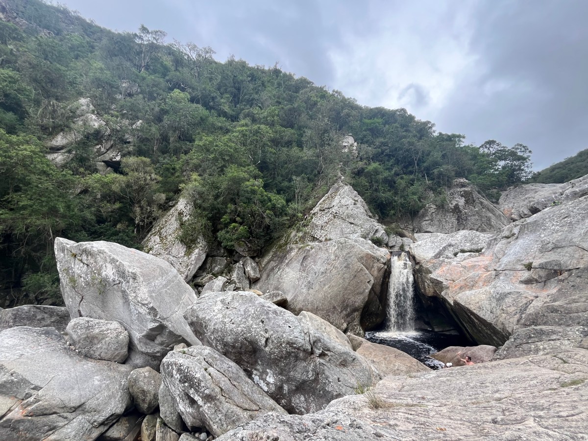 Wildness in the&nbsp;Wilderness