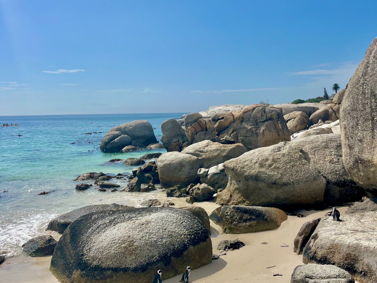 Captivating Cape Town