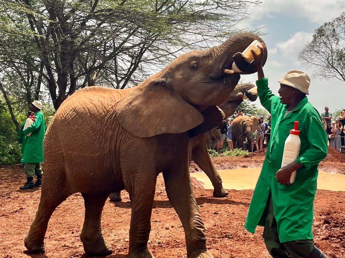 An Unforgettable Day in&nbsp;Nairobi